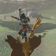 Illustration for article titled New iBreath Of The Wild/i Glitch Lets You Harvest Infinite Korok Seeds